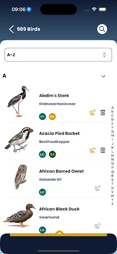 Roberts Birds screenshot 2