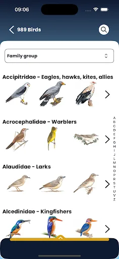 Roberts Birds screenshot 3