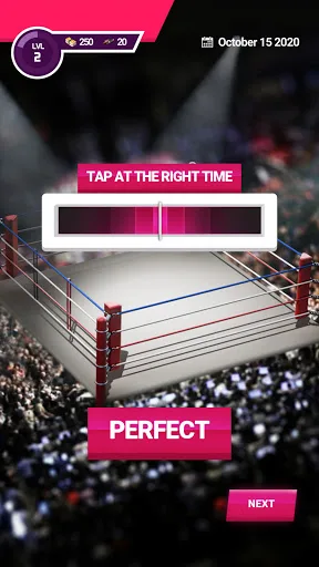 Indie Wrestler screenshot 3