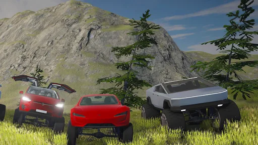 Tesla Off-Road screenshot 2