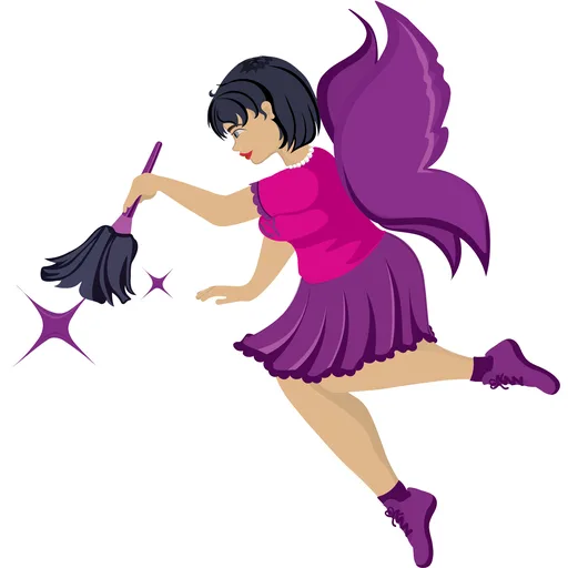 FlyLady: Routines & Cleaning