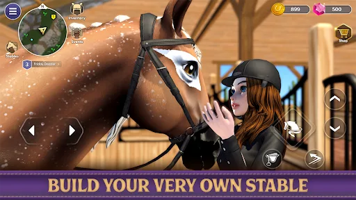 Star Equestrian - Horse Ranch screenshot 4