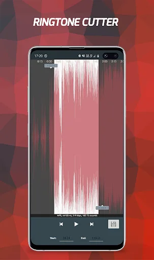 Pi Music Player: Offline Music screenshot 4