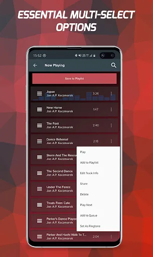 Pi Music Player: Offline Music screenshot 5
