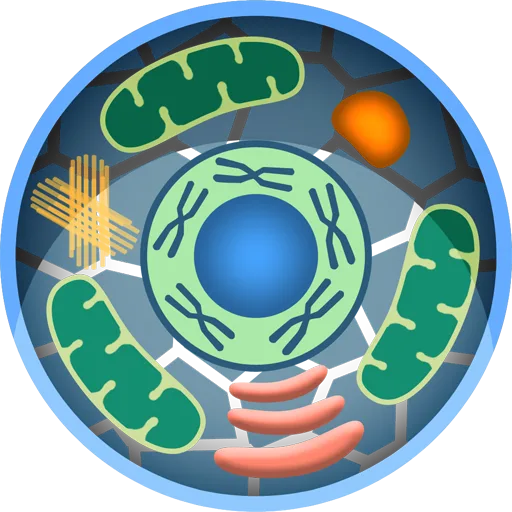 Cell World
