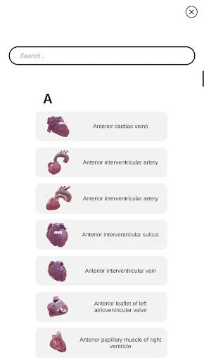 3D Heart Anatomy screenshot 1