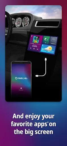 WebLink Host screenshot 3