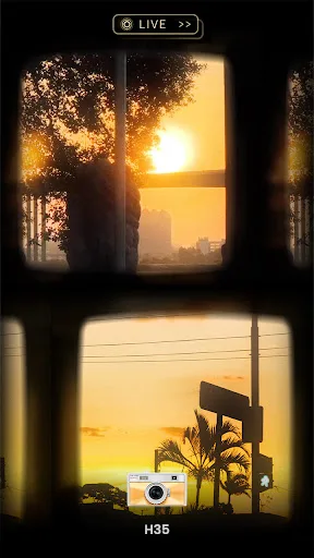 OldRoll - Vintage Film Camera screenshot 5