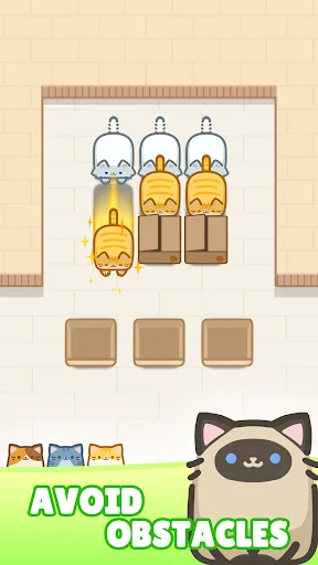 Box Cat Jam : Match 3 Cats screenshot 3