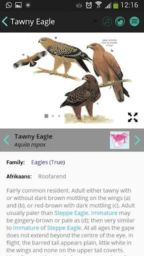 Newman's Birds LITE screenshot 2