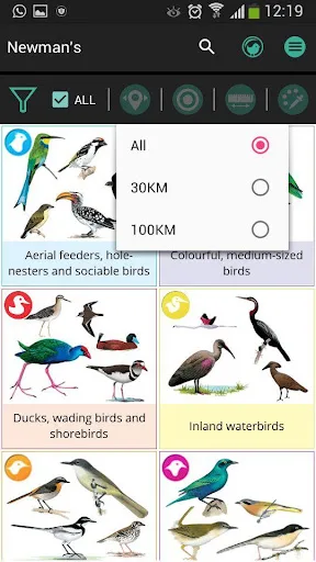 Newman's Birds LITE screenshot 4
