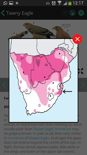 Newman's Birds LITE screenshot 5