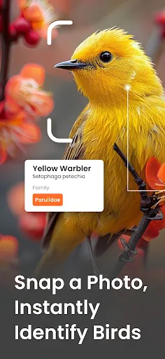 Bird Identifier Sound Call ID screenshot 1