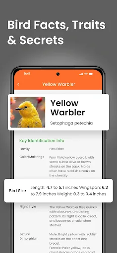Bird Identifier Sound Call ID screenshot 3