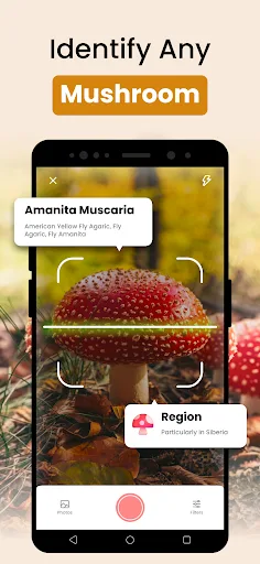 Mushroom Identifier - Fungi ID screenshot 1
