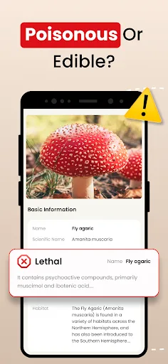 Mushroom Identifier - Fungi ID screenshot 2