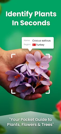 Plant Identifier Plant Scanner screenshot 1