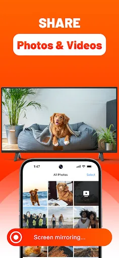Screen Mirroring Fire TV Cast screenshot 4