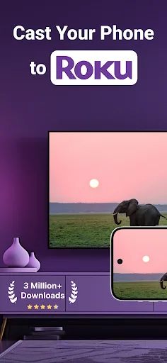 Roku Screen Mirror & Cast TV screenshot 1