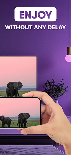 Roku Screen Mirror & Cast TV screenshot 2
