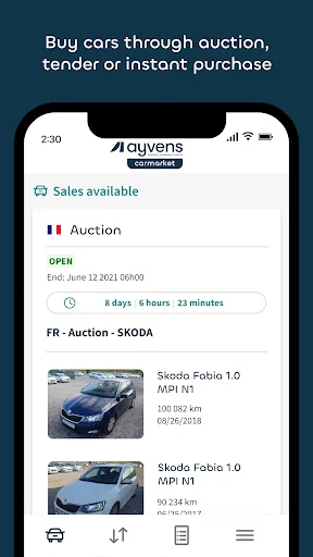 Ayvens Carmarket screenshot 1