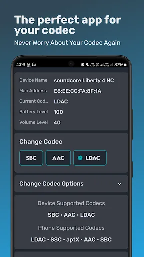 Bluetooth Codec Changer screenshot 1
