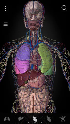 Anatomyka - 3D Anatomy Atlas screenshot 3