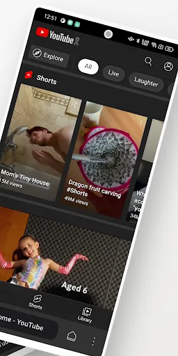 Private Browser - Beta screenshot 2