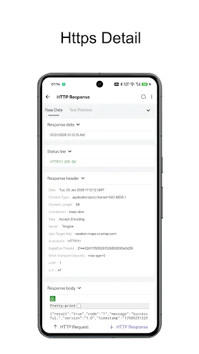 HTTP Sniffer screenshot 2