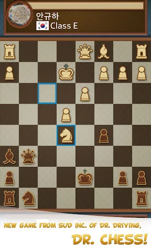 Dr. Chess screenshot 5