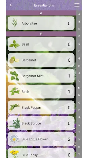 Modern Essentials Plus screenshot 4