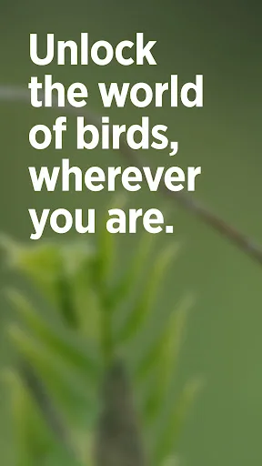 Audubon Bird Guide screenshot 1