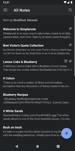Simplenote screenshot 2