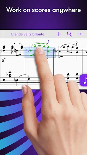 Sibelius screenshot 3
