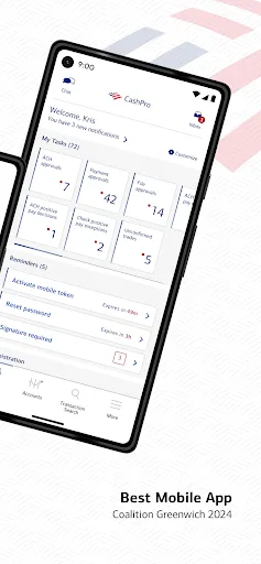 CashPro screenshot 2