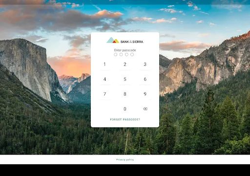 Bank of the Sierra screenshot 5