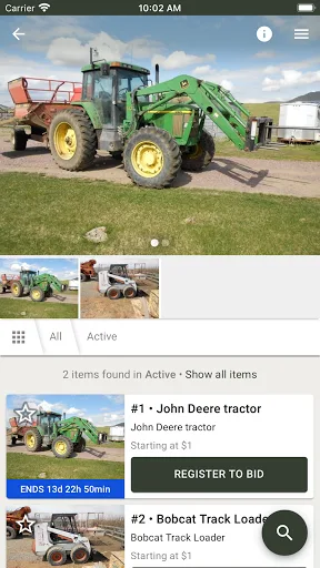 Pate Auction screenshot 4