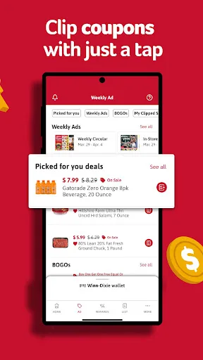 Winn-Dixie screenshot 4