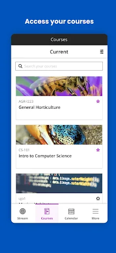 Blackboard screenshot 2