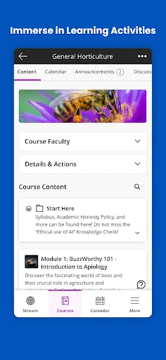 Blackboard screenshot 3