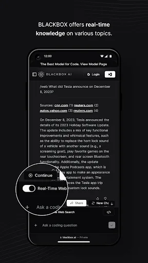BLACKBOX.AI screenshot 4