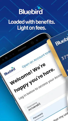 Bluebird screenshot 1
