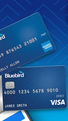 Bluebird screenshot 2