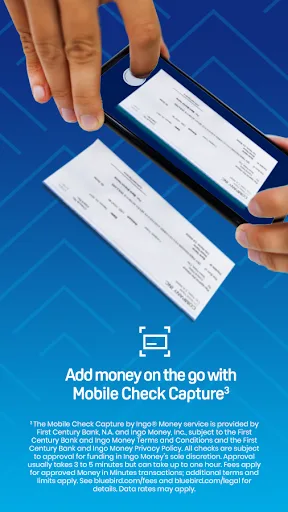 Bluebird screenshot 5