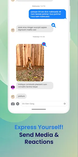 BlueBubbles screenshot 4