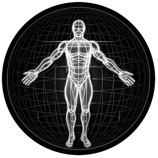 BodBot AI Workout Planner