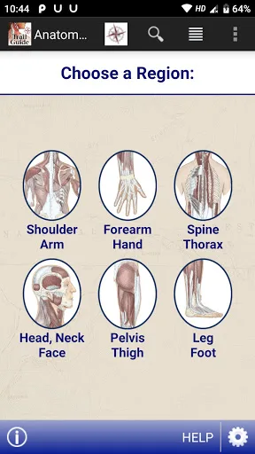 AnatomyMapp screenshot 1