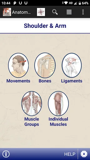 AnatomyMapp screenshot 2