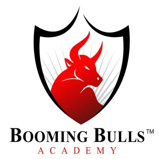 Booming Bulls Academy