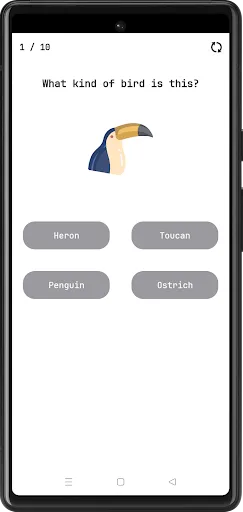 Birds Quiz screenshot 3